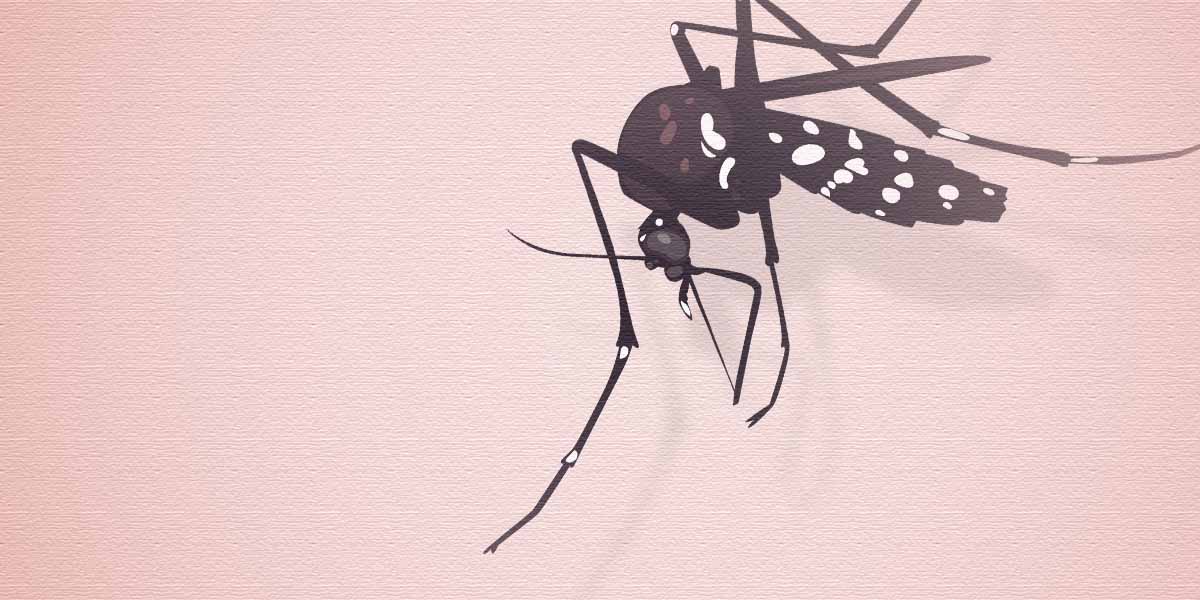 malaria-dapat-menyebabkan-kurang-gizi-janin-hingga-keguguran